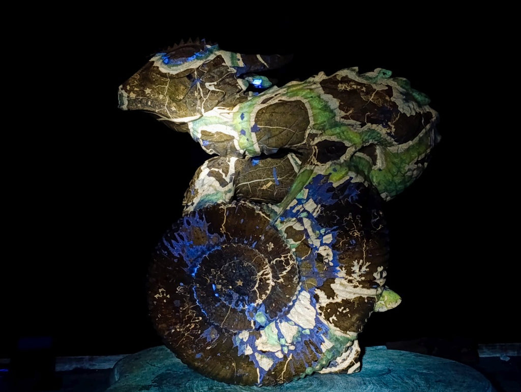 Hand Made XXL Septerye Dragon with Ammonite Sculpture x 1 From Mahajanga, Madagascar