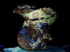 Hand Made XXL Septerye Dragon with Ammonite Sculpture x 1 From Mahajanga, Madagascar