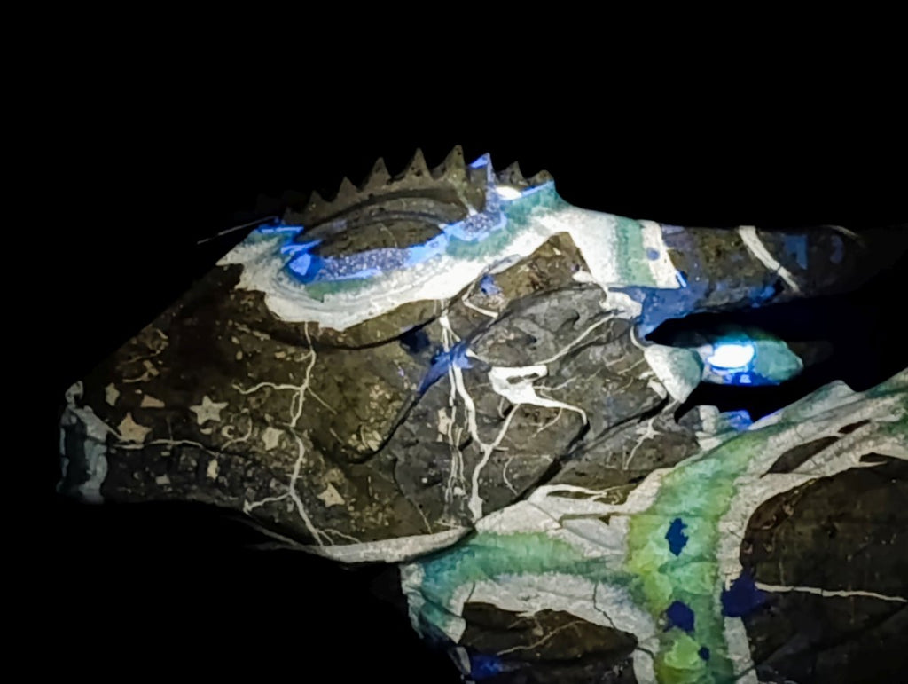 Hand Made XXL Septerye Dragon with Ammonite Sculpture x 1 From Mahajanga, Madagascar
