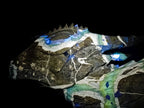 Hand Made XXL Septerye Dragon with Ammonite Sculpture x 1 From Mahajanga, Madagascar