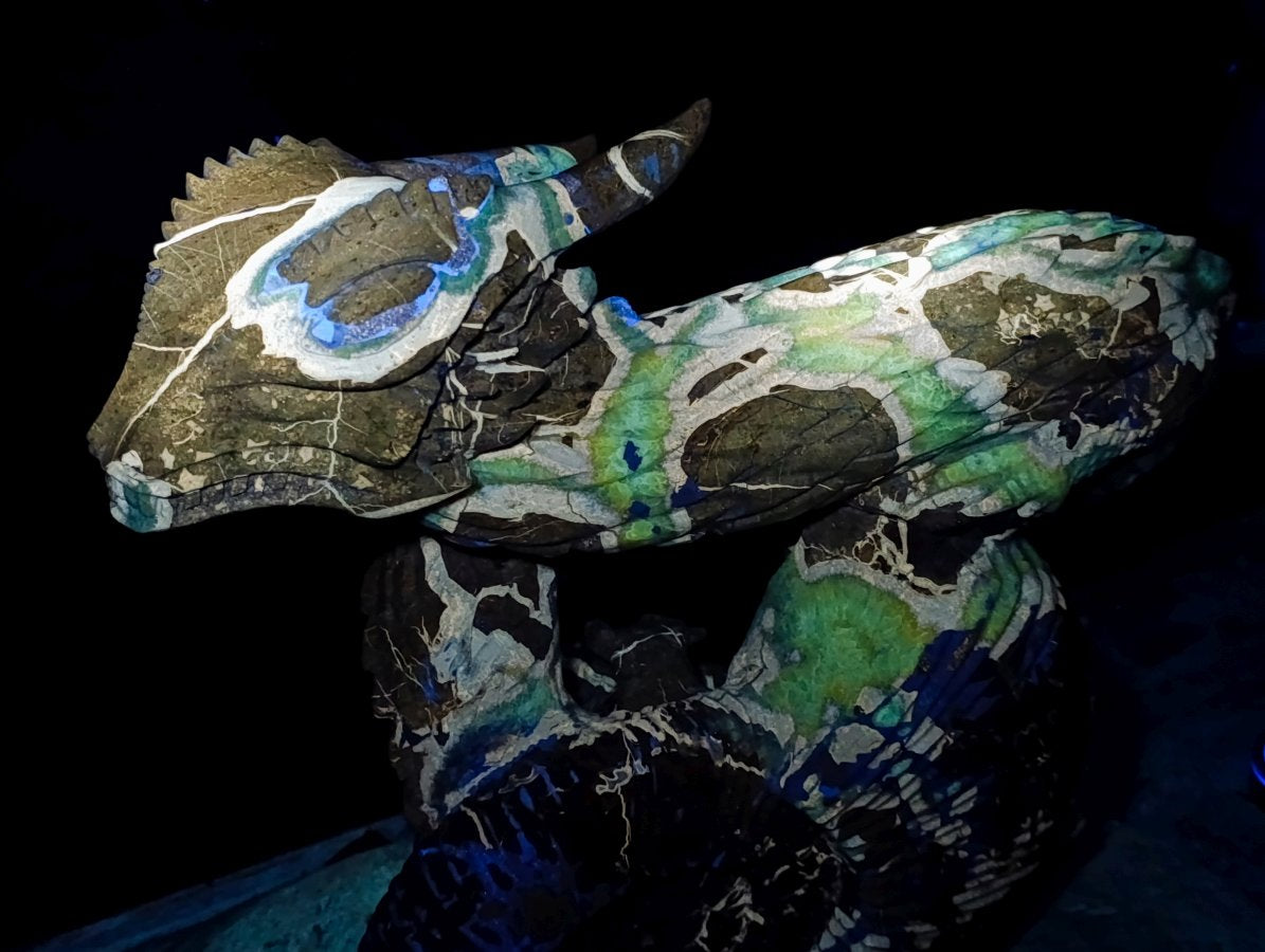 Hand Made XXL Septerye Dragon with Ammonite Sculpture x 1 From Mahajanga, Madagascar
