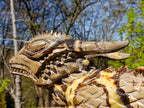 Hand Made XXL Septerye Dragon with Ammonite Sculpture x 1 From Mahajanga, Madagascar
