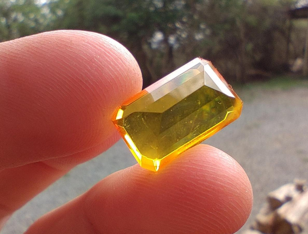 Polished Faceted Fossil Amber Stone x 1 From Poland