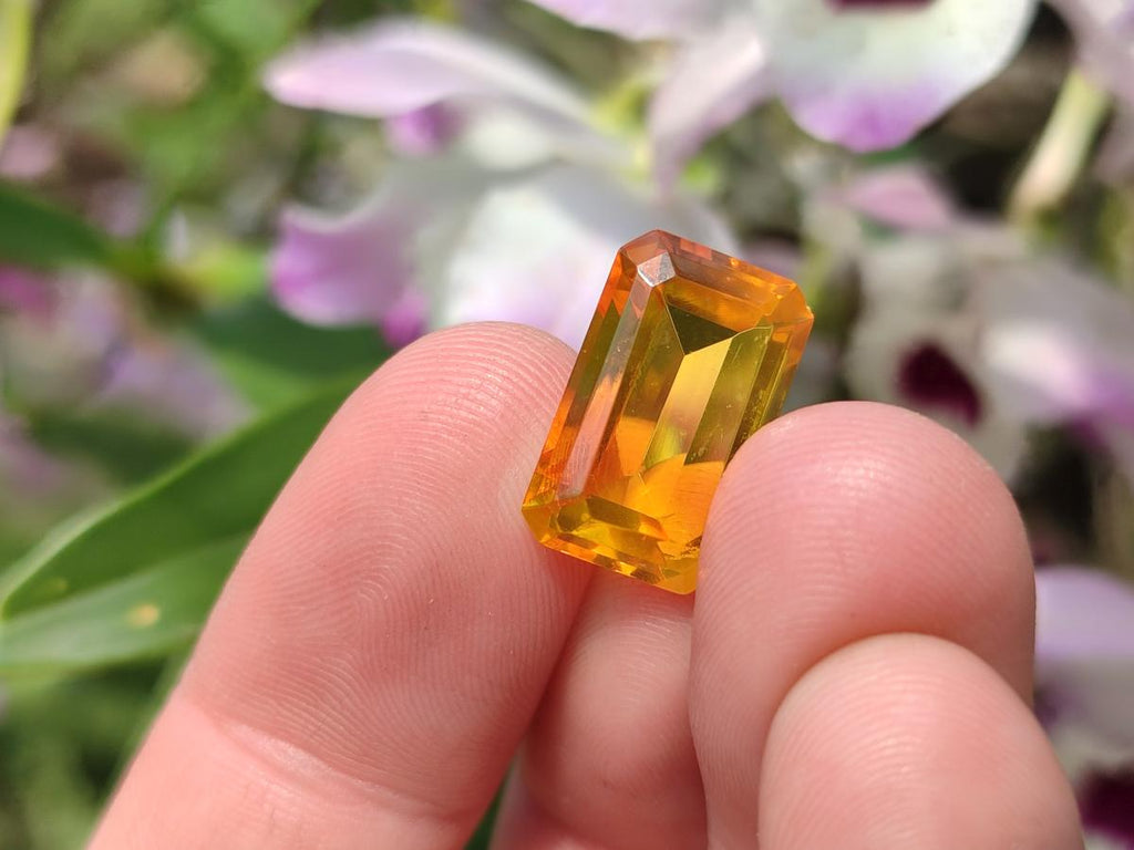 Polished Faceted Fossil Amber Stone x 1 From Poland
