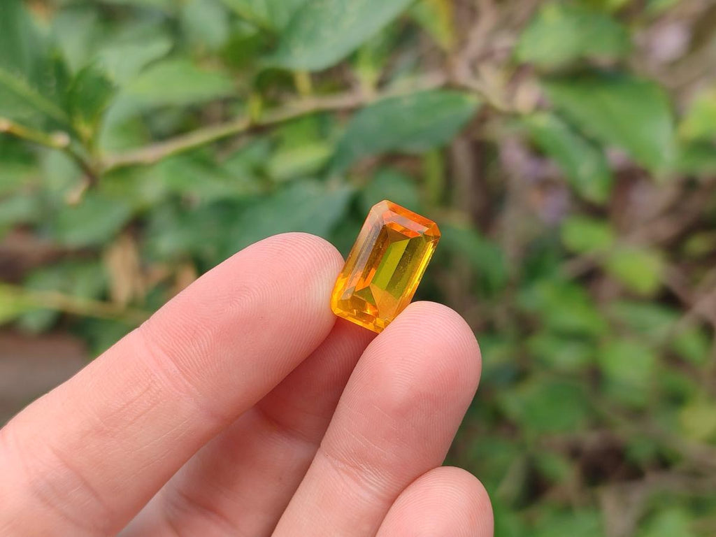 Polished Faceted Fossil Amber Stone x 1 From Poland