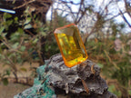 Polished Faceted Fossil Amber Stone x 1 From Poland