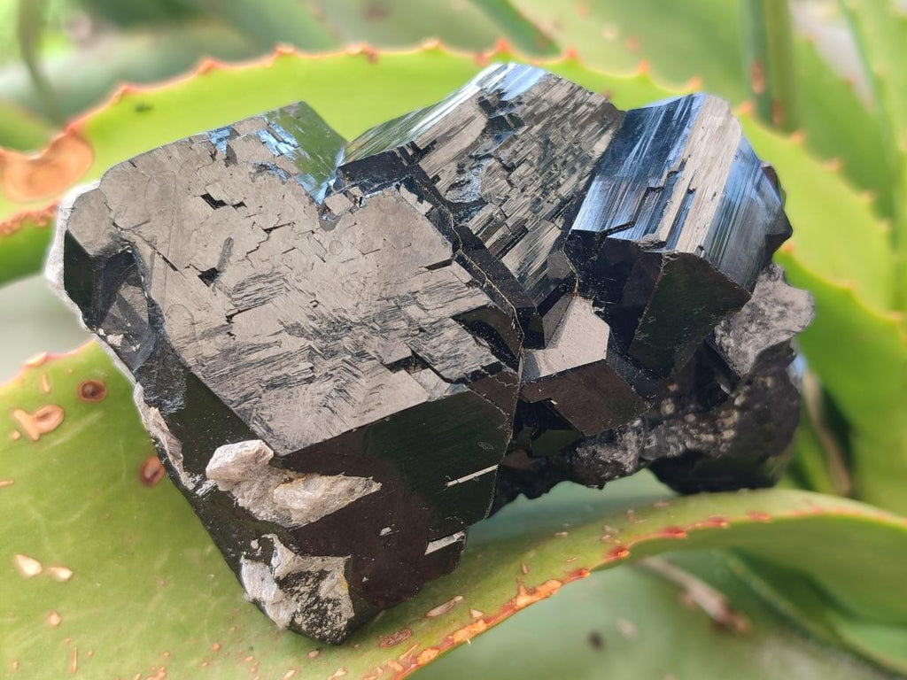 Natural Mirror Shiny Schorl Black Tourmaline Crystal Cluster x 1 From Erongo, Namibia