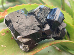 Natural Mirror Shiny Schorl Black Tourmaline Crystal Cluster x 1 From Erongo, Namibia