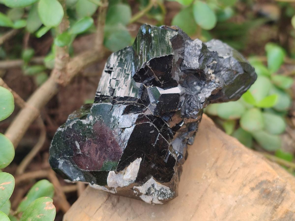 Natural Mirror Shiny Schorl Black Tourmaline Crystal Cluster x 1 From Erongo, Namibia