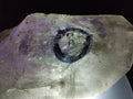 Natural Double Enhydro Smokey Amethyst Quartz Crystal x 1 From Brandberg, Namibia