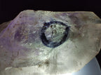 Natural Double Enhydro Smokey Amethyst Quartz Crystal x 1 From Brandberg, Namibia
