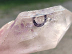 Natural Double Enhydro Smokey Amethyst Quartz Crystal x 1 From Brandberg, Namibia