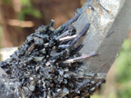 Natural Smokey Quartz and Schorl Black Tourmaline Crystal Cluster x 1 From Erongo, Namibia