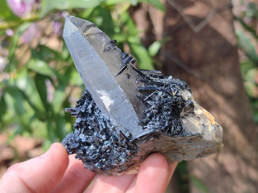 Natural Smokey Quartz and Schorl Black Tourmaline Crystal Cluster x 1 From Erongo, Namibia