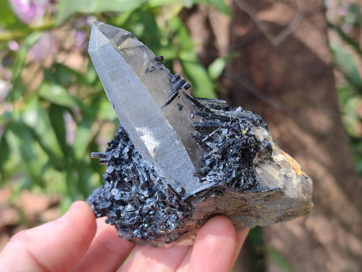 Natural Smokey Quartz and Schorl Black Tourmaline Crystal Cluster x 1 From Erongo, Namibia