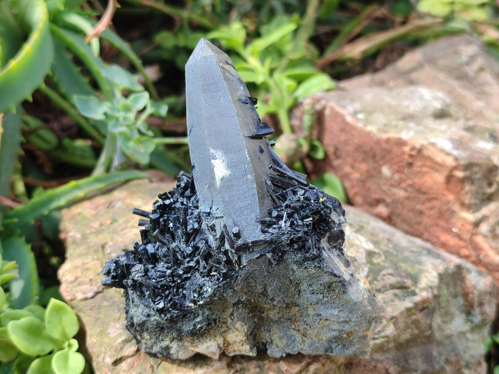 Natural Smokey Quartz and Schorl Black Tourmaline Crystal Cluster x 1 From Erongo, Namibia