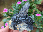 Natural Smokey Quartz and Schorl Black Tourmaline Crystal Cluster x 1 From Erongo, Namibia