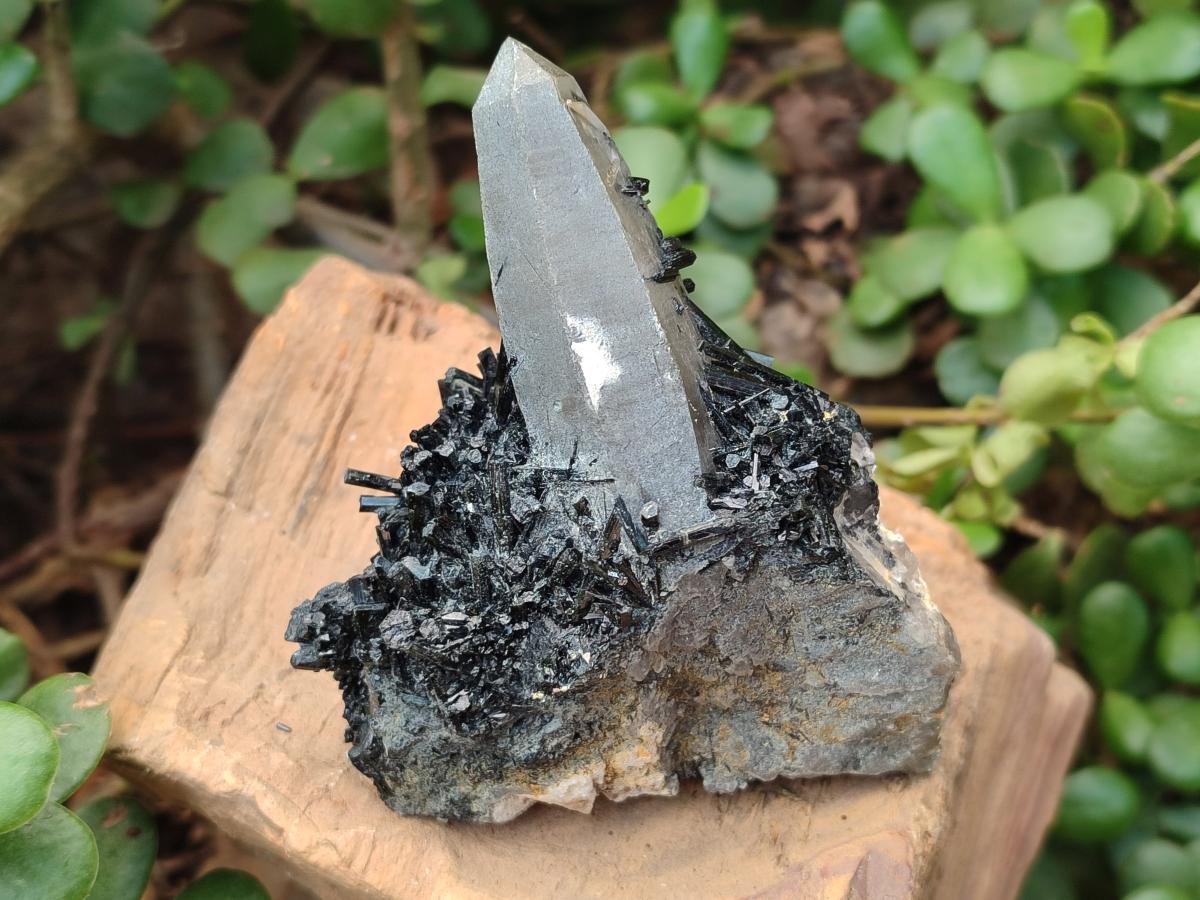 Natural Smokey Quartz and Schorl Black Tourmaline Crystal Cluster x 1 From Erongo, Namibia