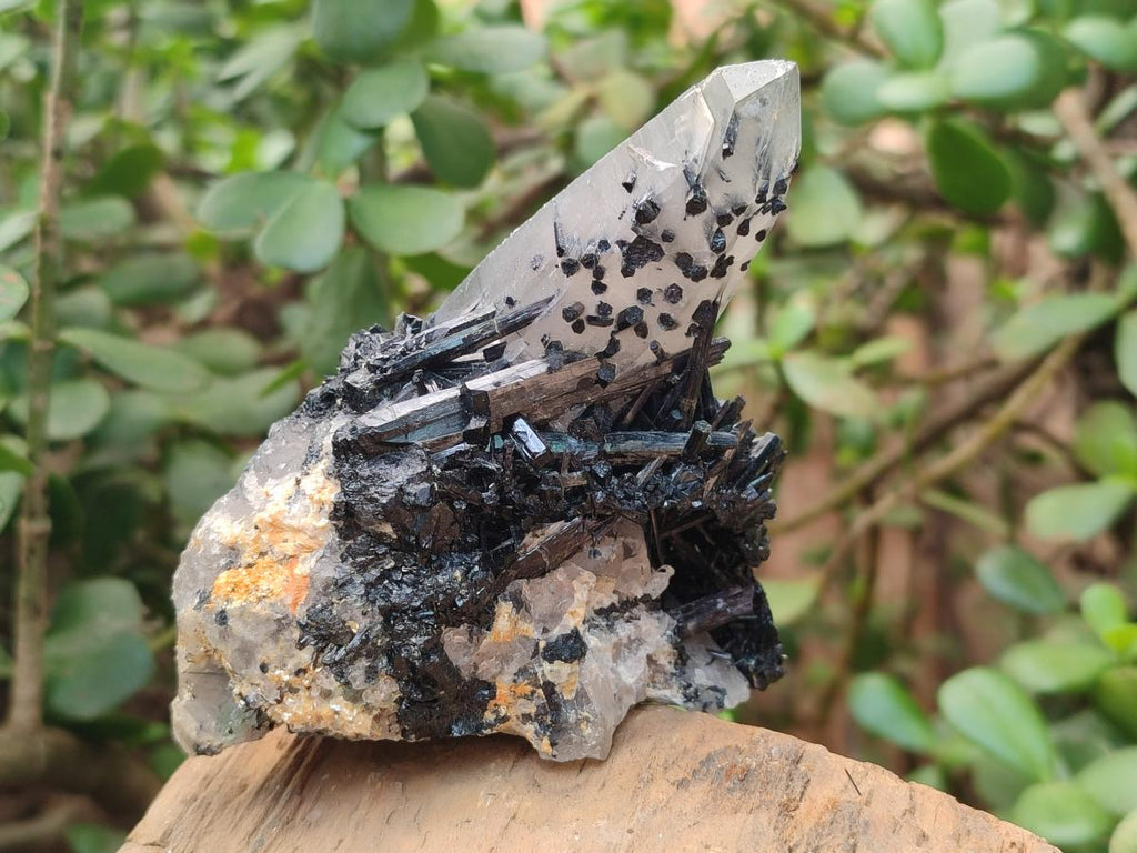 Natural Smokey Quartz and Schorl Black Tourmaline Crystal Cluster x 1 From Erongo, Namibia