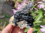 Natural Smokey Quartz and Schorl Black Tourmaline Crystal Cluster x 1 From Erongo, Namibia