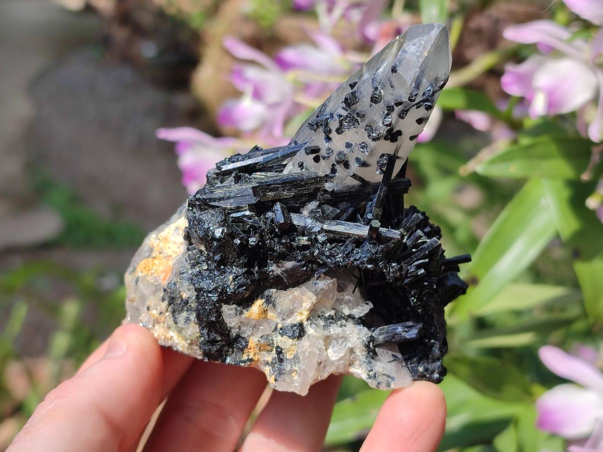 Natural Smokey Quartz and Schorl Black Tourmaline Crystal Cluster x 1 From Erongo, Namibia