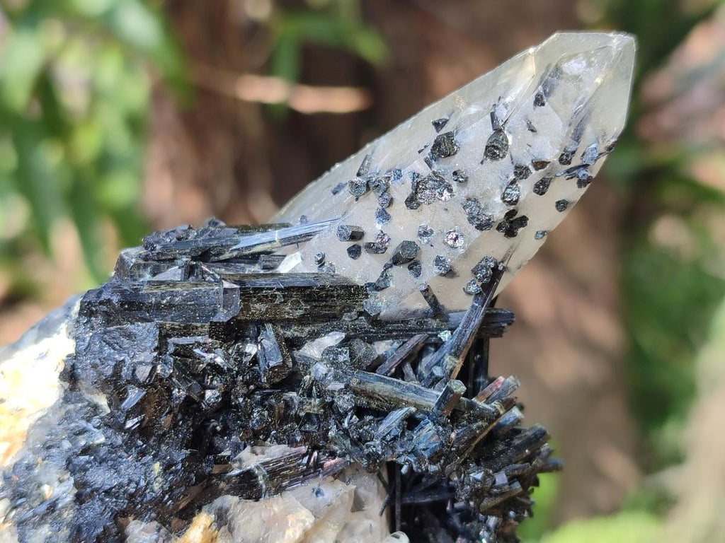 Natural Smokey Quartz and Schorl Black Tourmaline Crystal Cluster x 1 From Erongo, Namibia