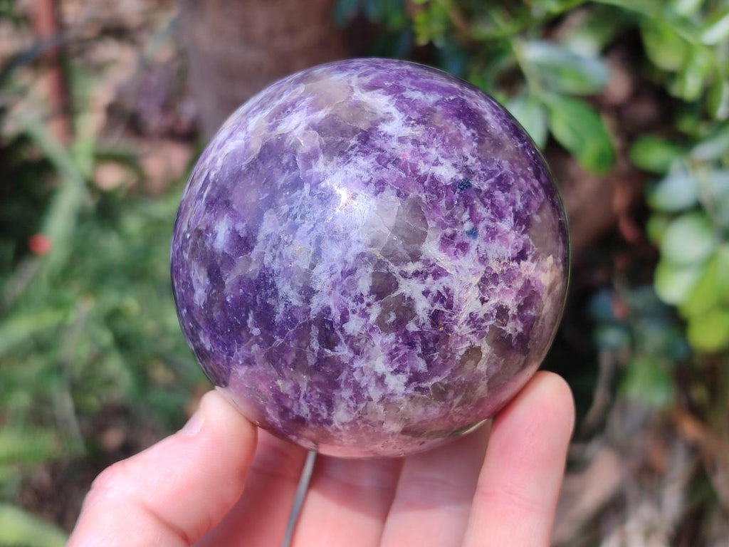 Polished Purple Lepidolite Sphere with Rubellite Pink Tourmaline x 1 From Madagascar