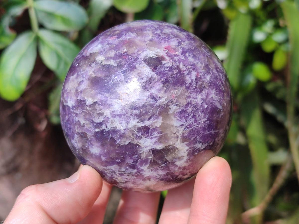 Polished Purple Lepidolite Sphere with Rubellite Pink Tourmaline x 1 From Madagascar