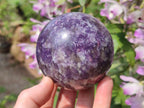 Polished Purple Lepidolite Sphere with Rubellite Pink Tourmaline x 1 From Madagascar