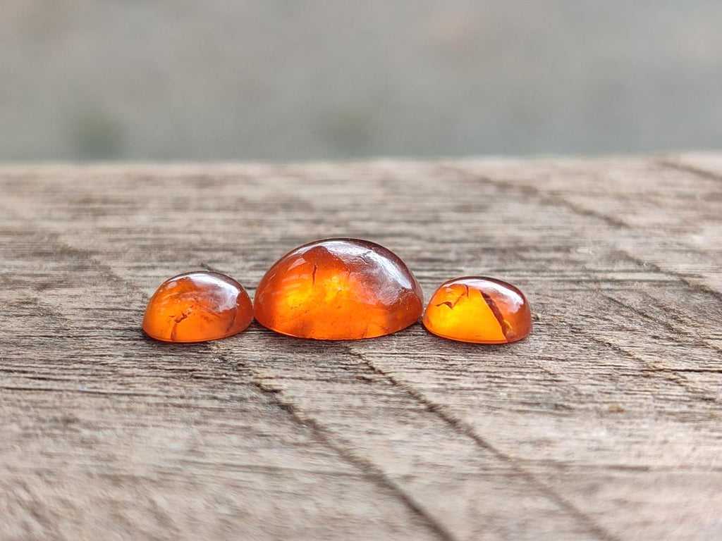Polished Set of 3 Mandarin Spessartite Garnet Cabochons x 1 From Sperrgebiet, Namibia