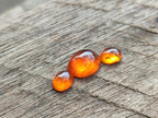 Polished Set of 3 Mandarin Spessartite Garnet Cabochons x 1 From Sperrgebiet, Namibia