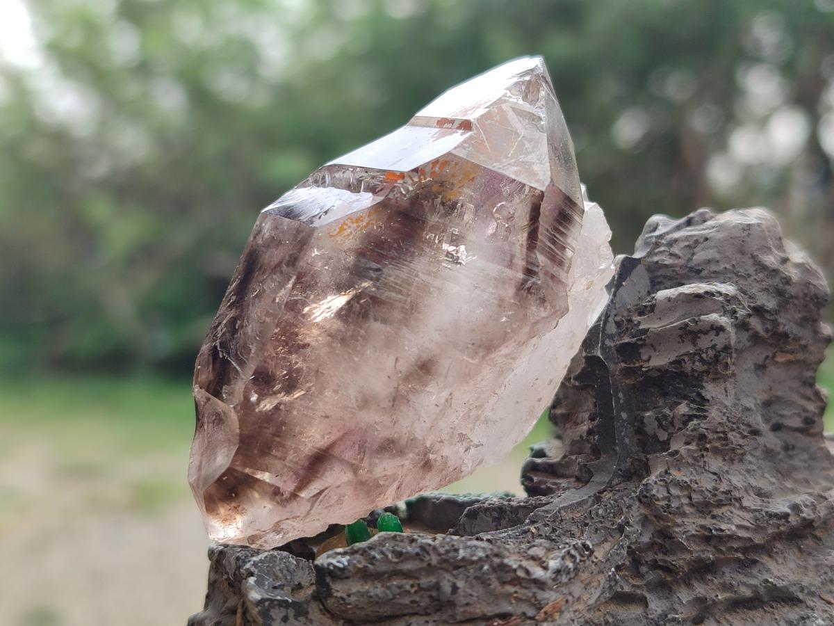 Natural Rare Double Terminated Smokey Amethyst Brandberg Crystal x 1 From Brandberg, Namibia