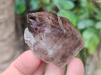 Natural Rare Double Terminated Smokey Amethyst Brandberg Crystal x 1 From Brandberg, Namibia