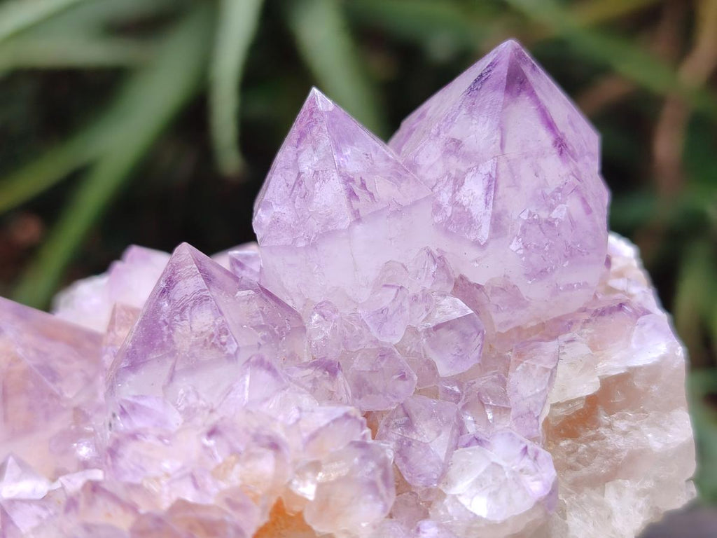Natural Sunburst Spirit Amethyst Crystal Cluster x 1 From Boekenhouthoek, South Africa