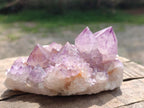 Natural Sunburst Spirit Amethyst Crystal Cluster x 1 From Boekenhouthoek, South Africa