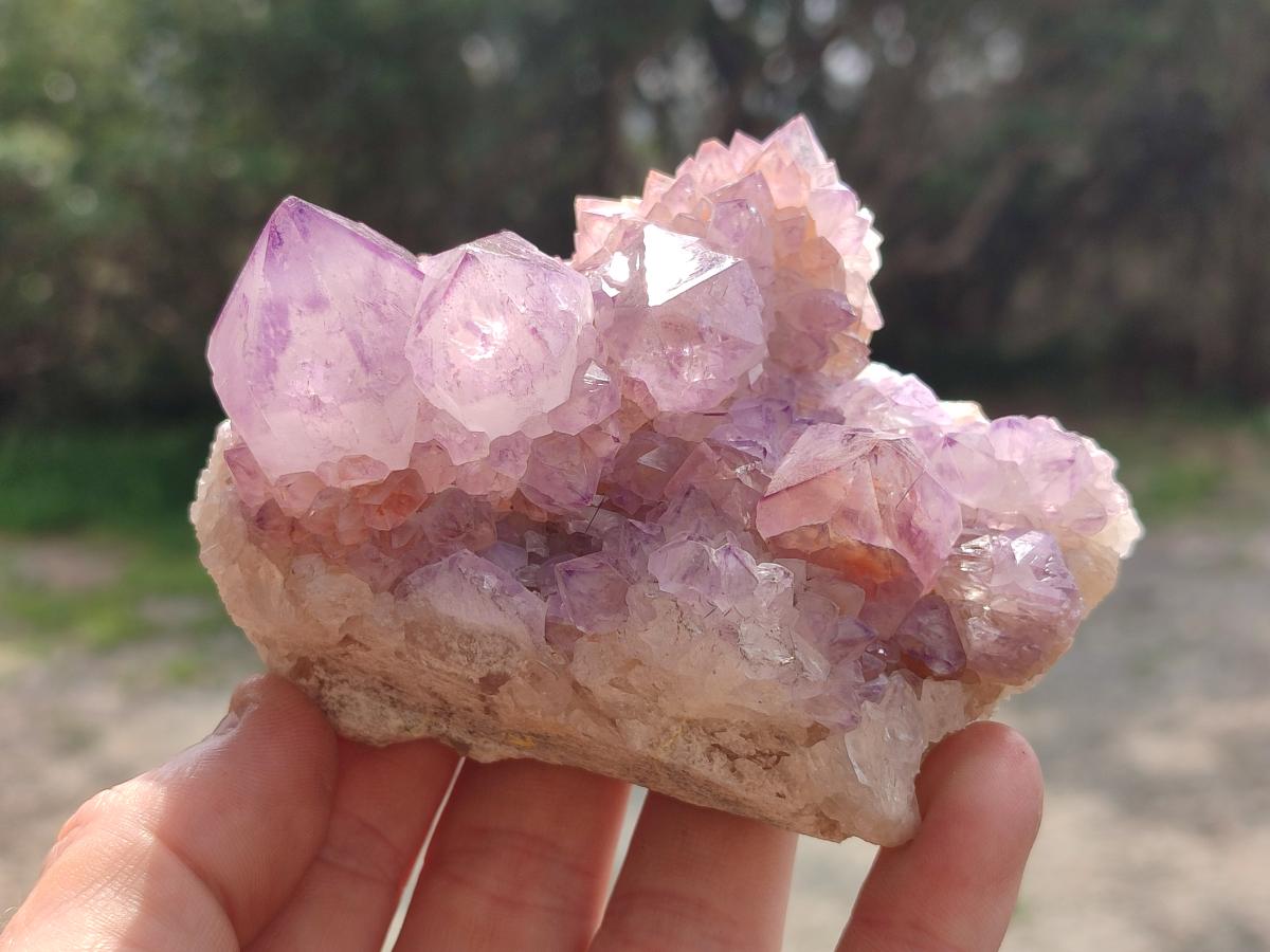 Natural Sunburst Spirit Amethyst Crystal Cluster x 1 From Boekenhouthoek, South Africa