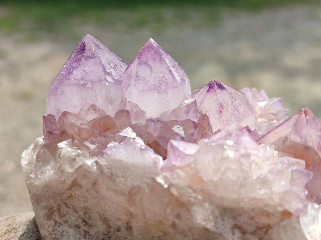 Natural Sunburst Spirit Amethyst Crystal Cluster x 1 From Boekenhouthoek, South Africa