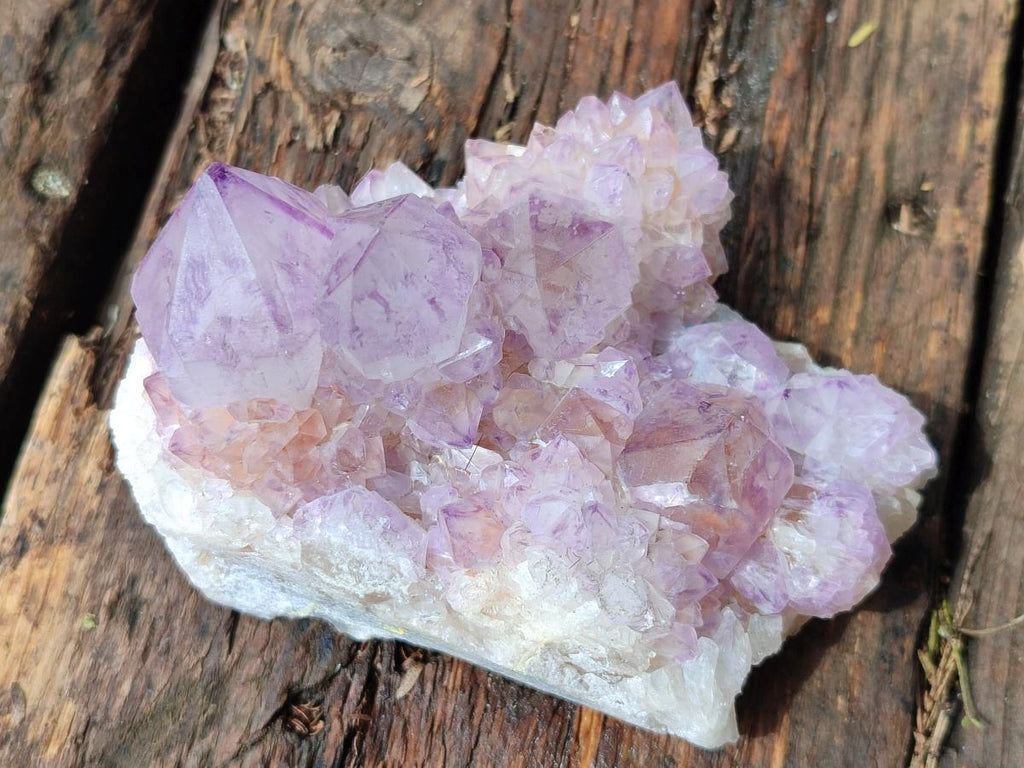 Natural Sunburst Spirit Amethyst Crystal Cluster x 1 From Boekenhouthoek, South Africa