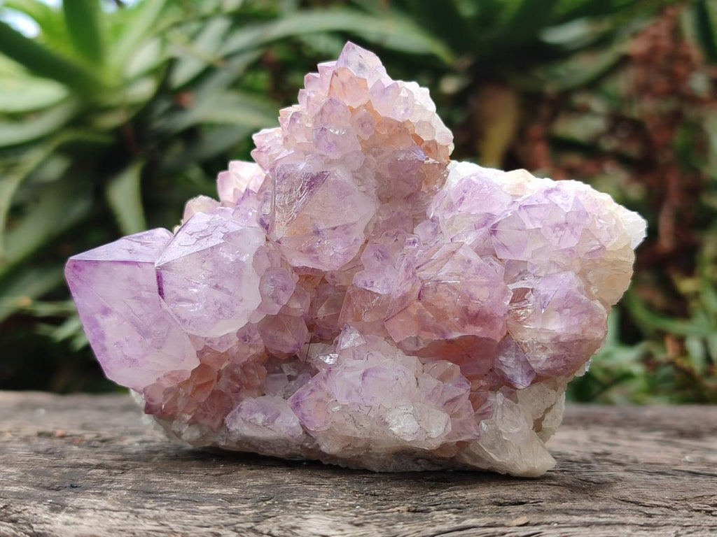 Natural Sunburst Spirit Amethyst Crystal Cluster x 1 From Boekenhouthoek, South Africa