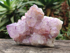 Natural Sunburst Spirit Amethyst Crystal Cluster x 1 From Boekenhouthoek, South Africa