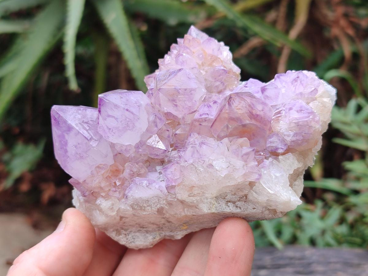 Natural Sunburst Spirit Amethyst Crystal Cluster x 1 From Boekenhouthoek, South Africa