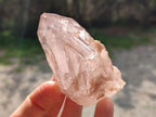 Natural Brandberg Etched Window Quartz Crystal with Smokey Faces x 1 From Brandberg, Namibia