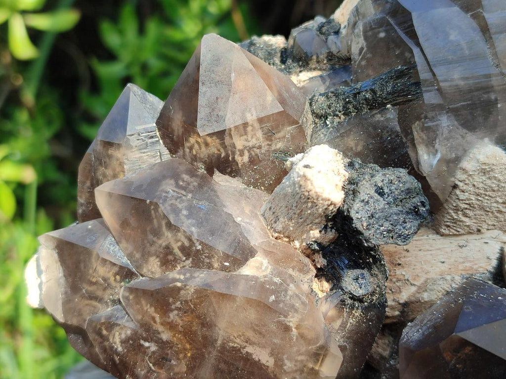 Natural Large Erongo Mountain Cluster of Smokey Quartz with Double Terminated Crystals x 1 From Erongo, Namibia
