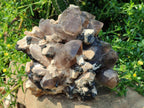 Natural Large Erongo Mountain Cluster of Smokey Quartz with Double Terminated Crystals x 1 From Erongo, Namibia