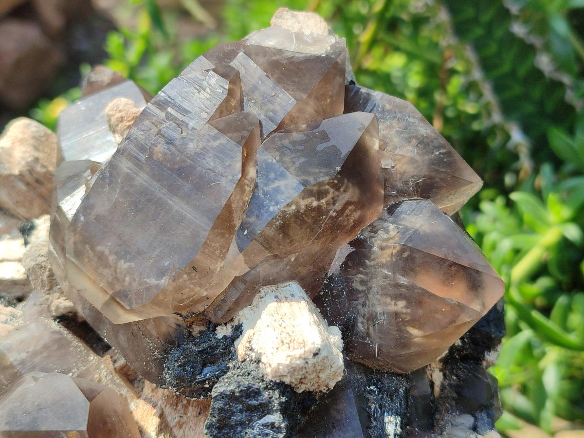 Natural Large Erongo Mountain Cluster of Smokey Quartz with Double Terminated Crystals x 1 From Erongo, Namibia