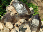 Natural Large Erongo Mountain Cluster of Smokey Quartz with Double Terminated Crystals x 1 From Erongo, Namibia