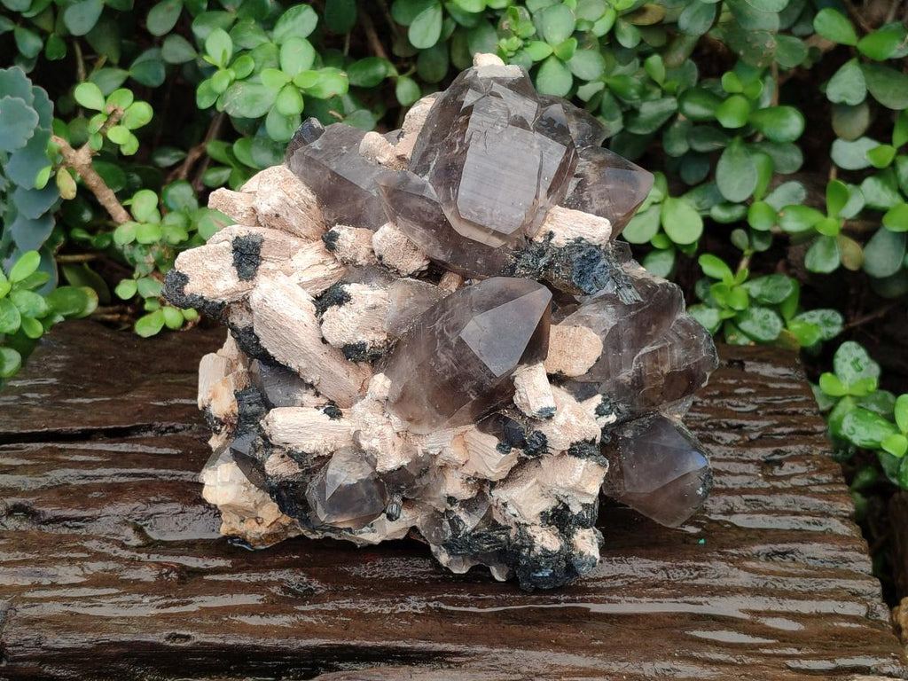 Natural Large Erongo Mountain Cluster of Smokey Quartz with Double Terminated Crystals x 1 From Erongo, Namibia