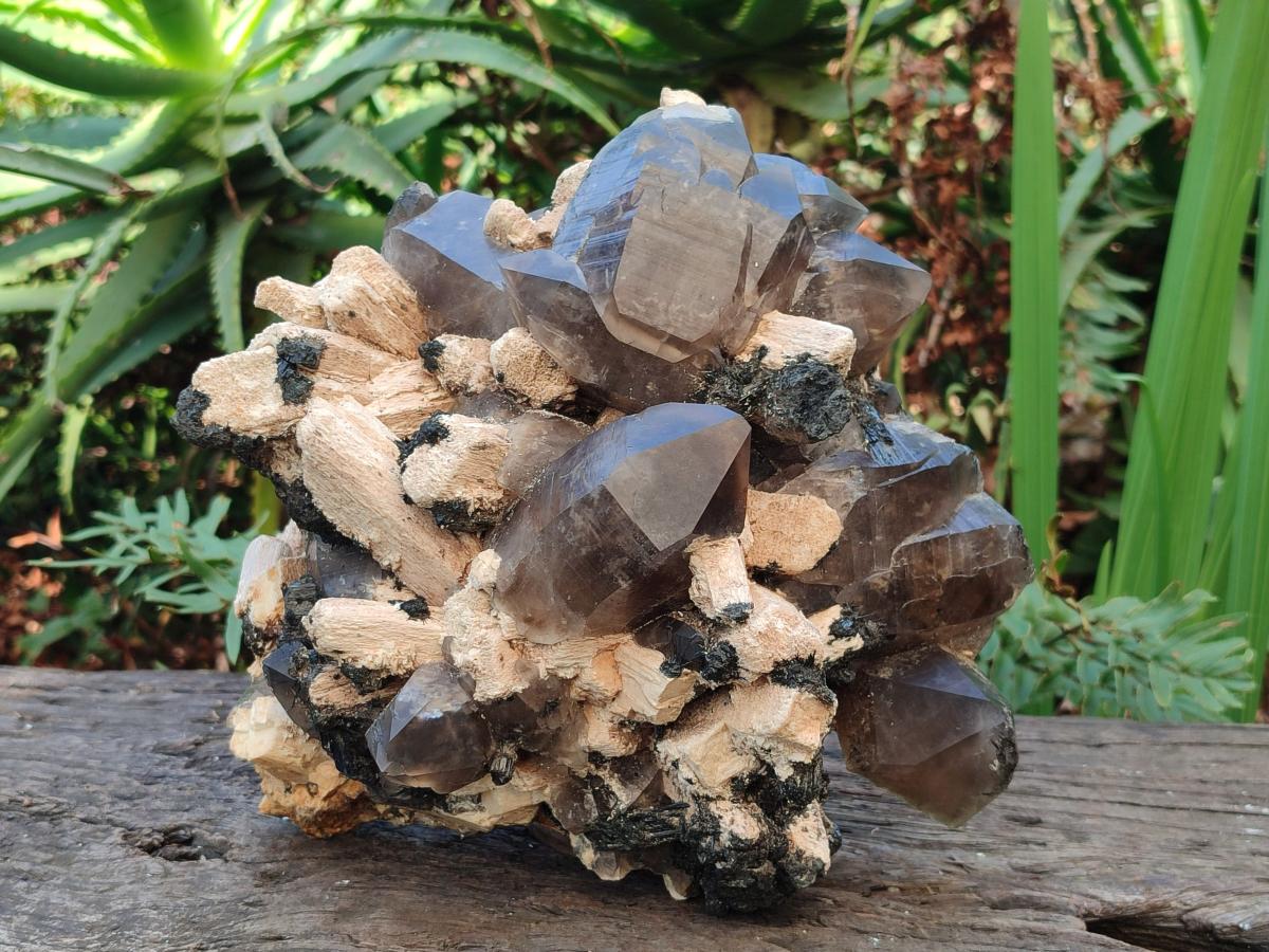 Natural Large Erongo Mountain Cluster of Smokey Quartz with Double Terminated Crystals x 1 From Erongo, Namibia