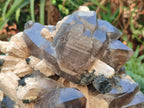 Natural Large Erongo Mountain Cluster of Smokey Quartz with Double Terminated Crystals x 1 From Erongo, Namibia