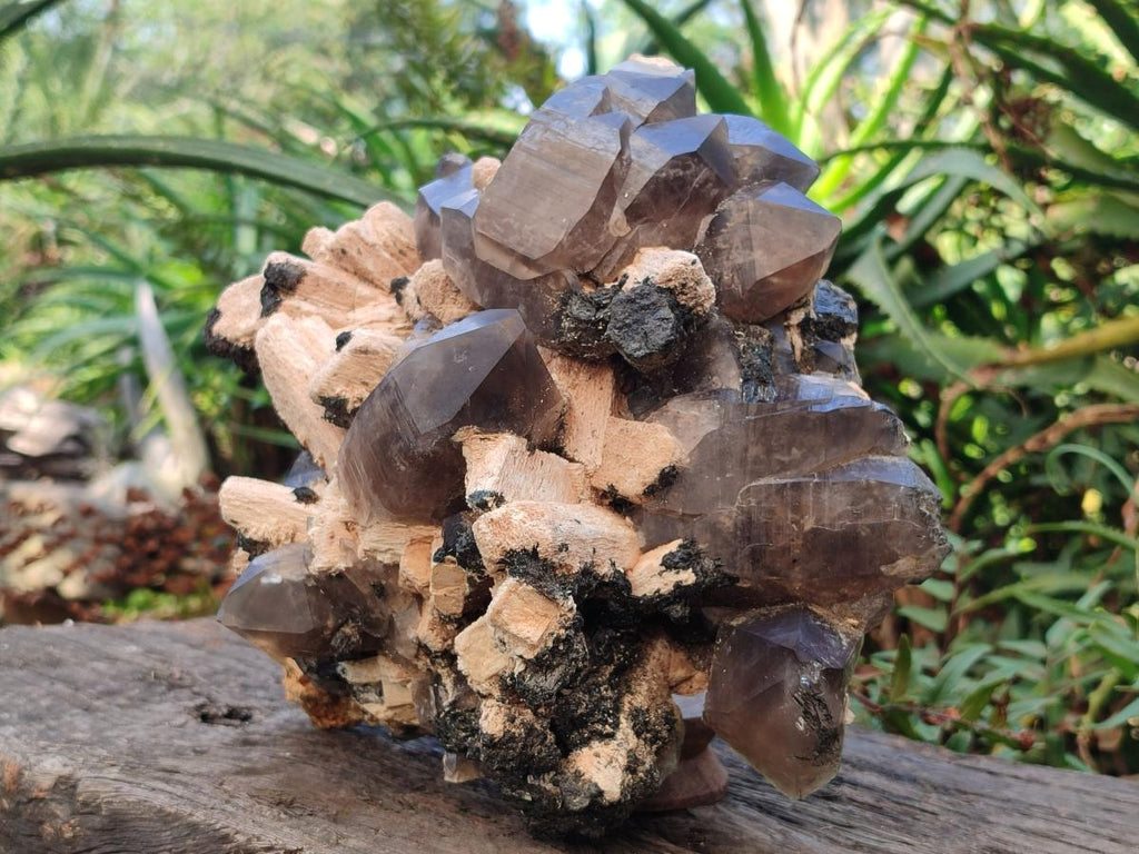Natural Large Erongo Mountain Cluster of Smokey Quartz with Double Terminated Crystals x 1 From Erongo, Namibia